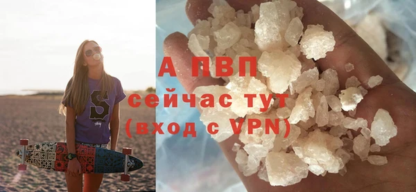 прущие грибы Магас
