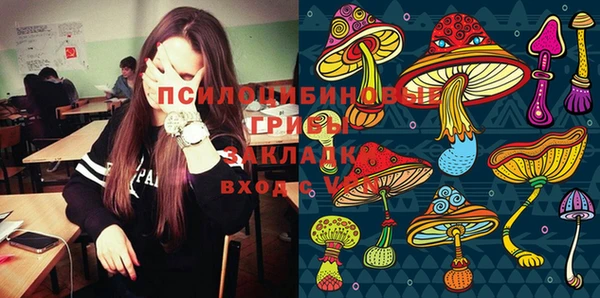 прущие грибы Магас