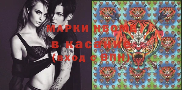 прущие грибы Магас