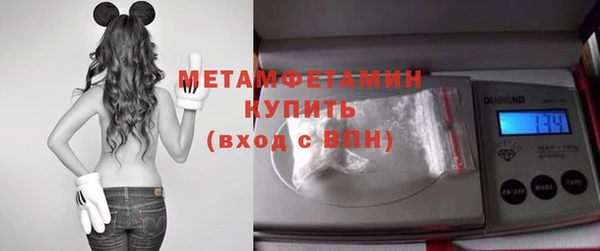 прущие грибы Магас