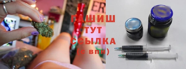 прущие грибы Магас
