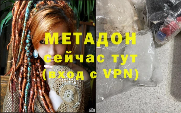 прущие грибы Магас