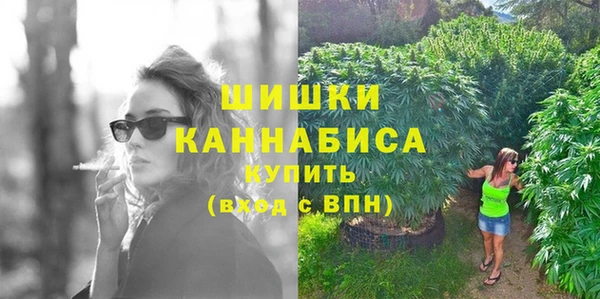 прущие грибы Магас
