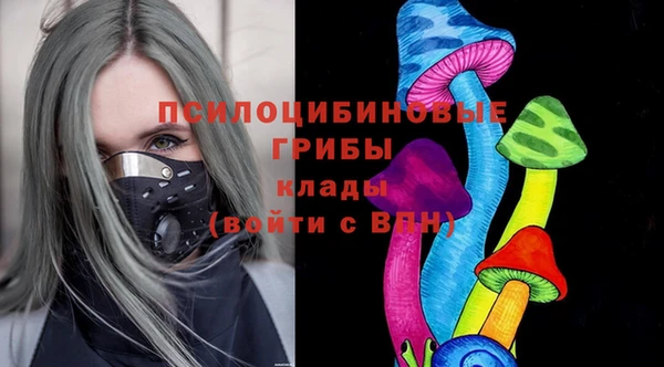 mdpv Магадан