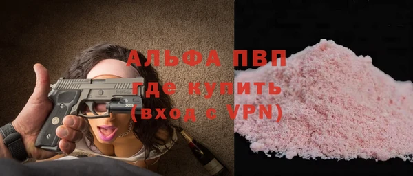 прущие грибы Магас