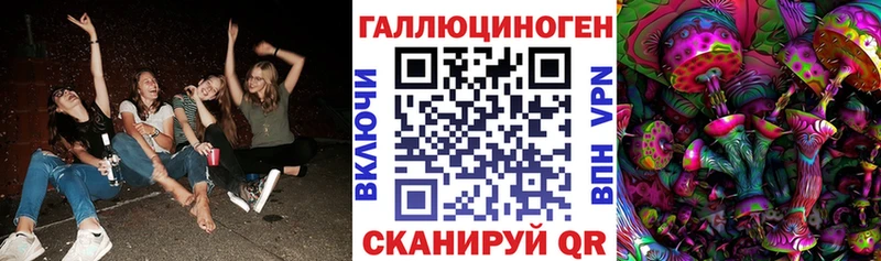 где можно купить Называевск Псилоцибиновые грибы мицелий